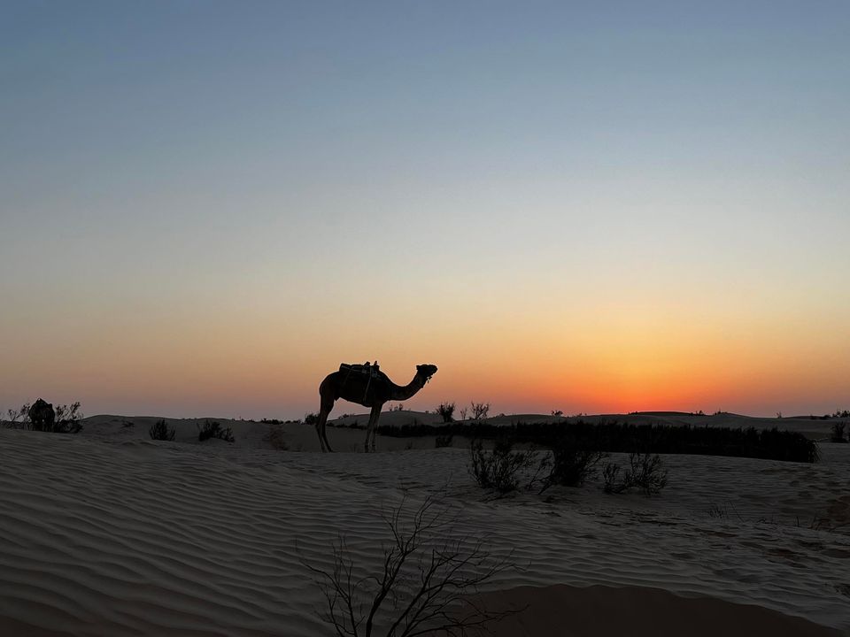 Ciel étoilé au-dessus du camp saharien